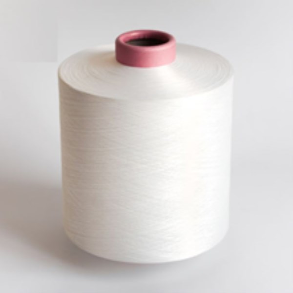 Sợi Polyester DTY