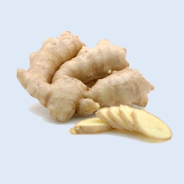 Gừng