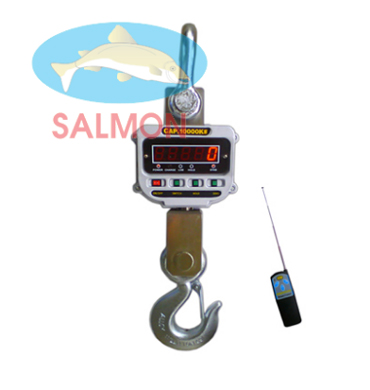 Cân móc cẩu 10 tấn