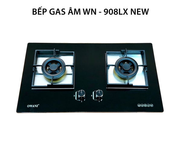 Bếp gas âm