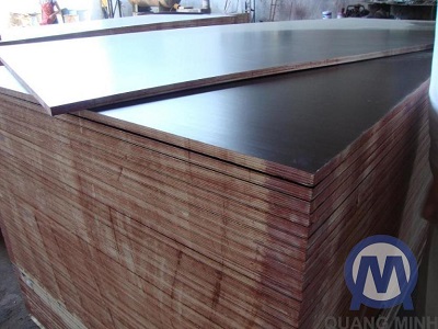 Coppha phủ phim hardwood 12mm