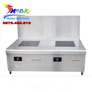 Bếp Từ Công Nghiệp Đôi Mặt Phẳng