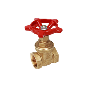 Van Cửa Đồng Nối Ren Giacomini R55