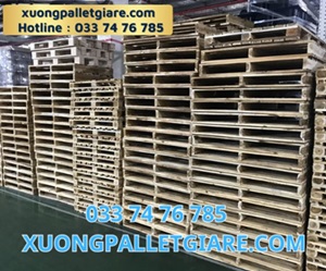 Pallet Gỗ Dùng 1 Lần