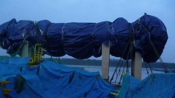 Giám định chằng buộc