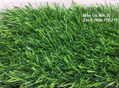 Thảm Cỏ Nhân Tạo