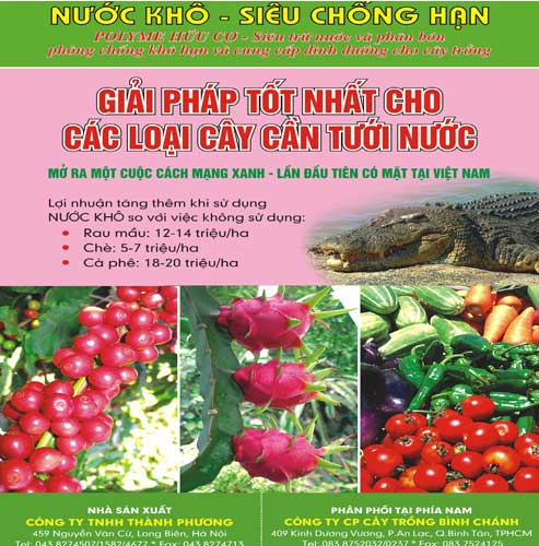 Polyme hữu cơ siêu trữ nước