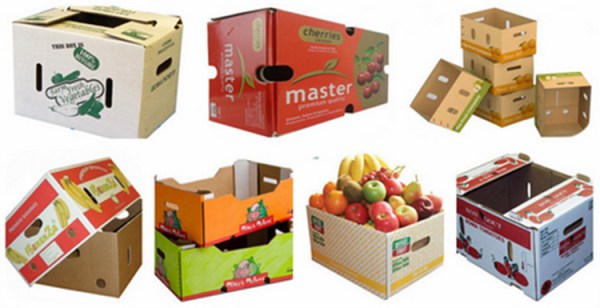 Thùng carton đựng trái cây