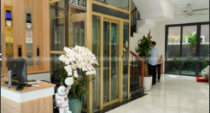 Thang Máy Nhập Khẩu