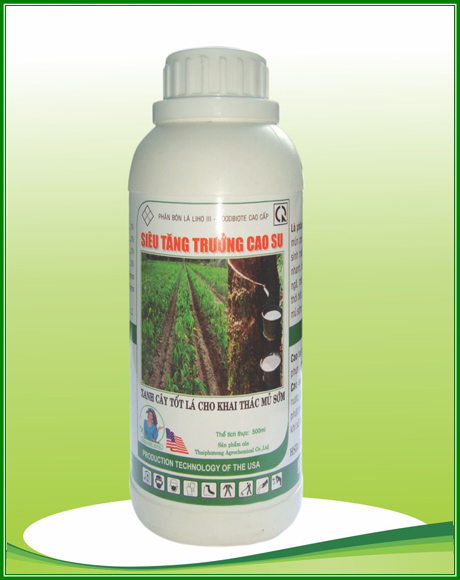 Siêu tăng trưởng cao su