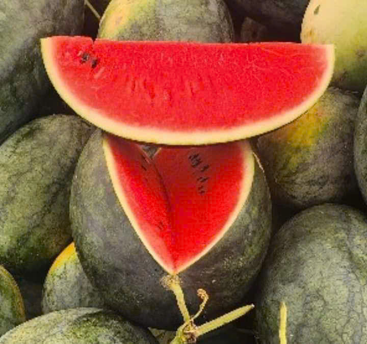 Dưa hấu