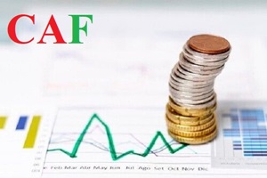 Dịch Vụ Kiểm Toán Độc Lập CAF