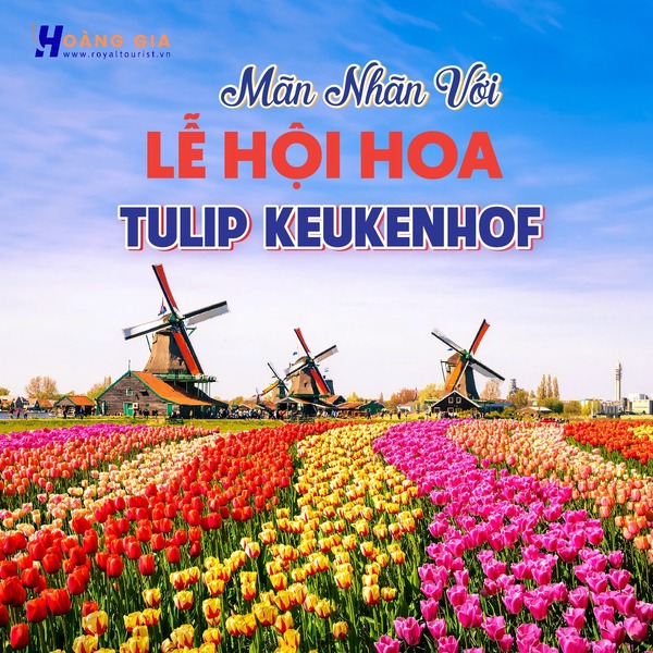 Tour du lịch Hà Lan