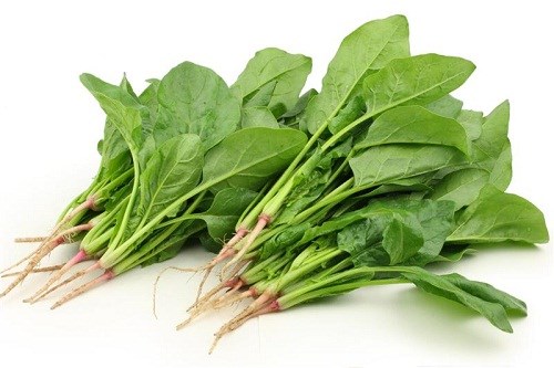 Rau chân vịt