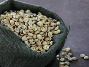 Cà phê nhân sống Robusta S16