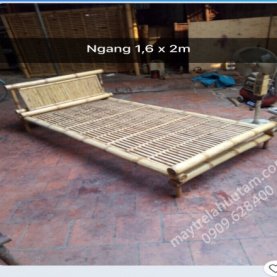 Giường tre