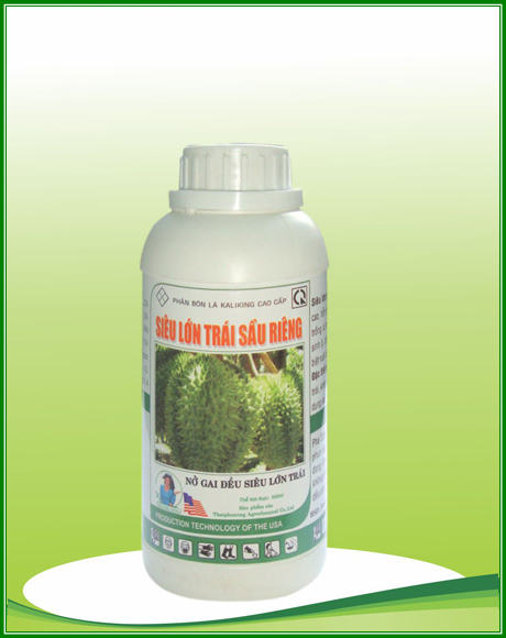 Siêu lớn trái sầu riêng