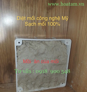 Dịch Vụ Diệt Mối Mọt