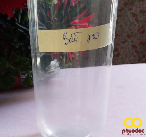 In ly nhựa PP bầu trơn