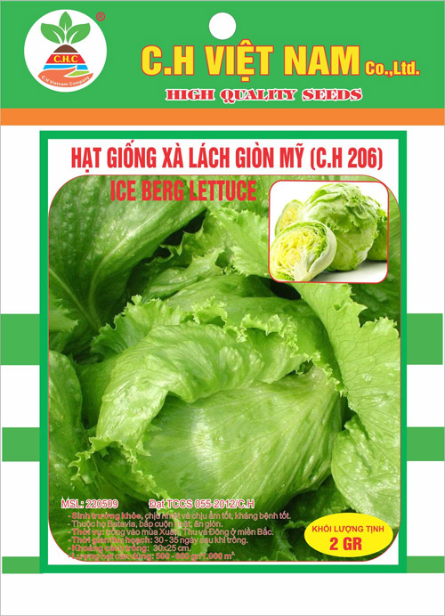 Hạt giống xà lách giòn Mỹ