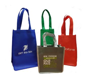 In túi vải không dệt