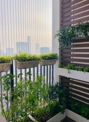 Lưới Bảo Vệ An Toàn