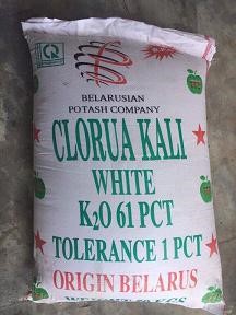 KCL
