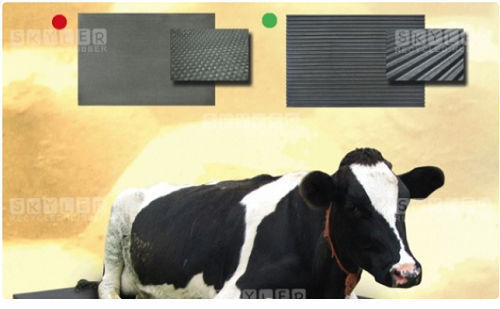 Thảm bò nằm Stall Mat