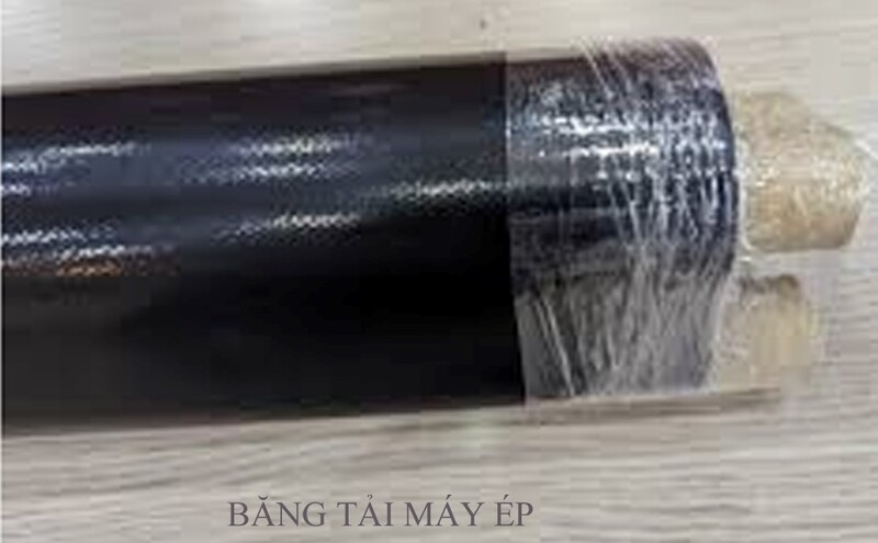 Băng tải đúc liền không gân