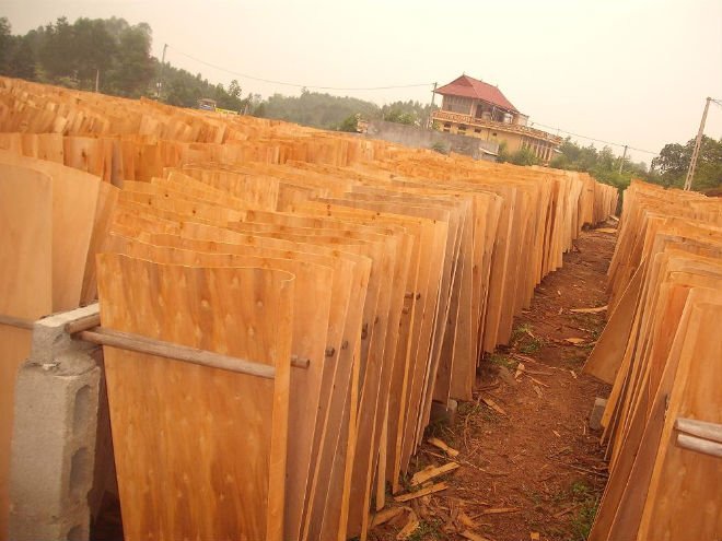 Ván lạng