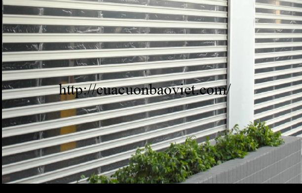 Cửa cuốn trong suốt