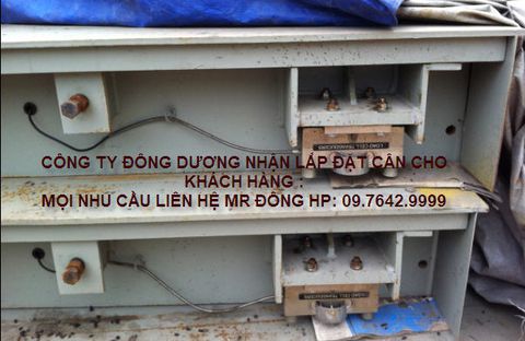 Sửa chữa cân điện tử