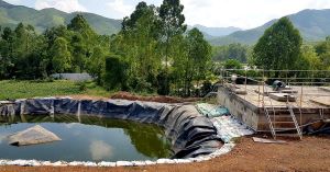 Hệ Thống Xử Lý Nước Thải Chăn Nuôi