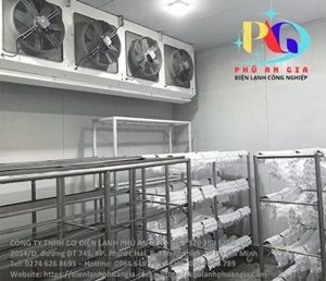 Kho Lạnh Cấp Đông Sầu Riêng