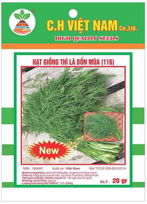 Hạt giống thì là bốn mùa