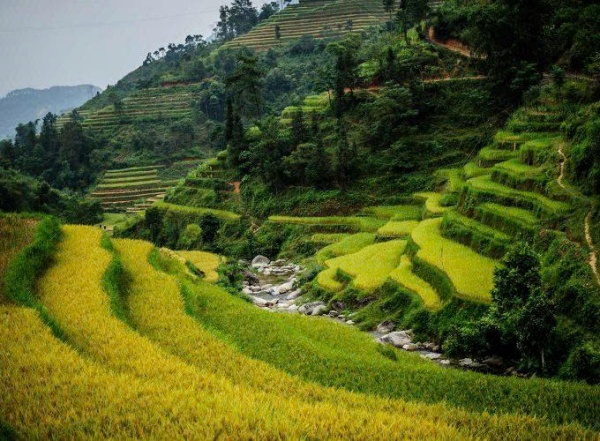 Tour du lịch nội địa