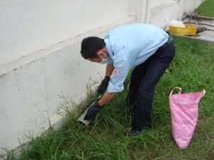 Dịch Vụ Diệt Chuột