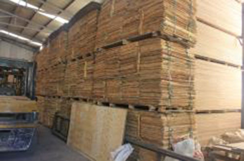 Ván độn gỗ bạch đàn