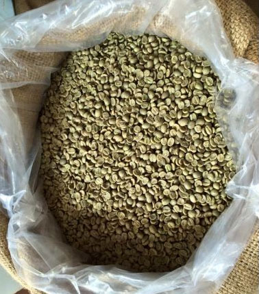 Cà phê nhân Arabica