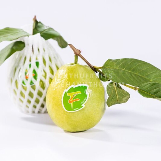 Ổi