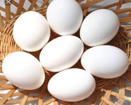 Trứng vịt