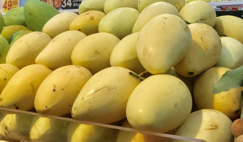 Xoài tươi