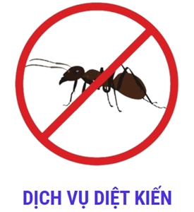 Dịch Vụ Diệt Kiến