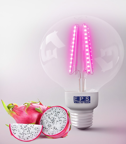 Đèn LED thanh long