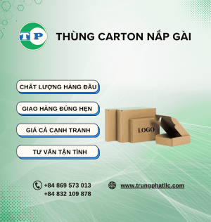 Thùng Carton Nắp Gài