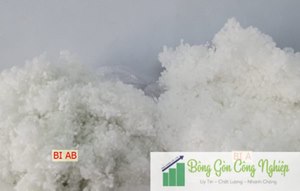 Bông Gòn Bi