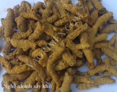 Nghệ nhánh