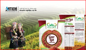 Thiết kế bao bì nhãn mác