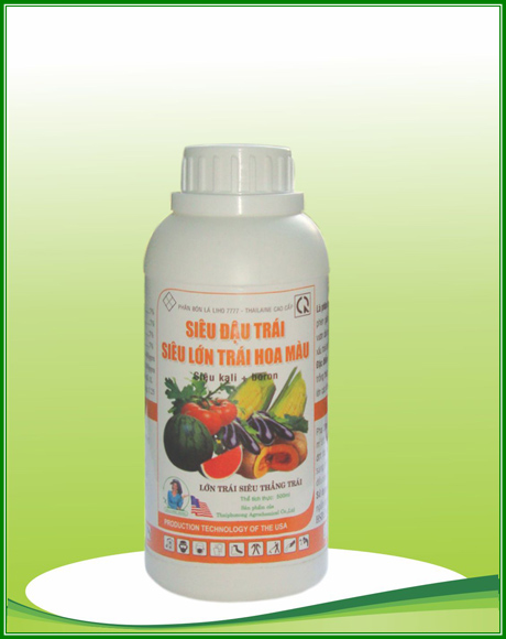 Siêu đậu trái siêu lớn trái hoa màu