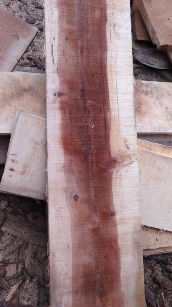 Gỗ hồ đào